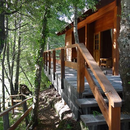 Patagonia Mawida Villa Neltume Kültér fotó