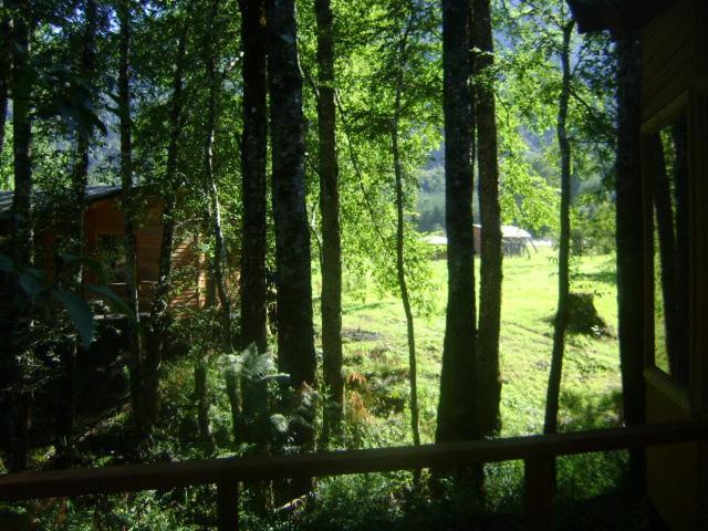 Patagonia Mawida Villa Neltume Kültér fotó