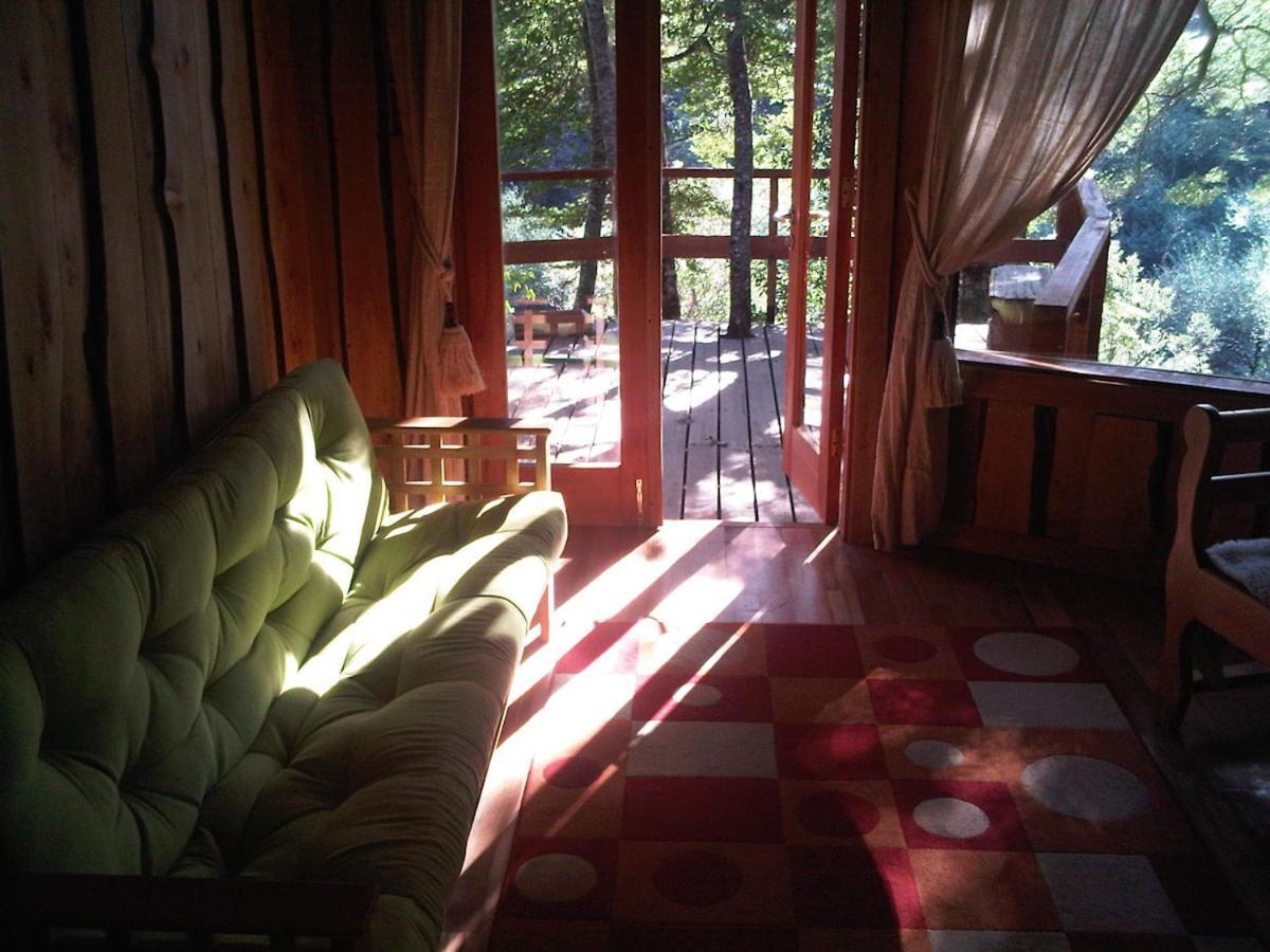 Patagonia Mawida Villa Neltume Kültér fotó