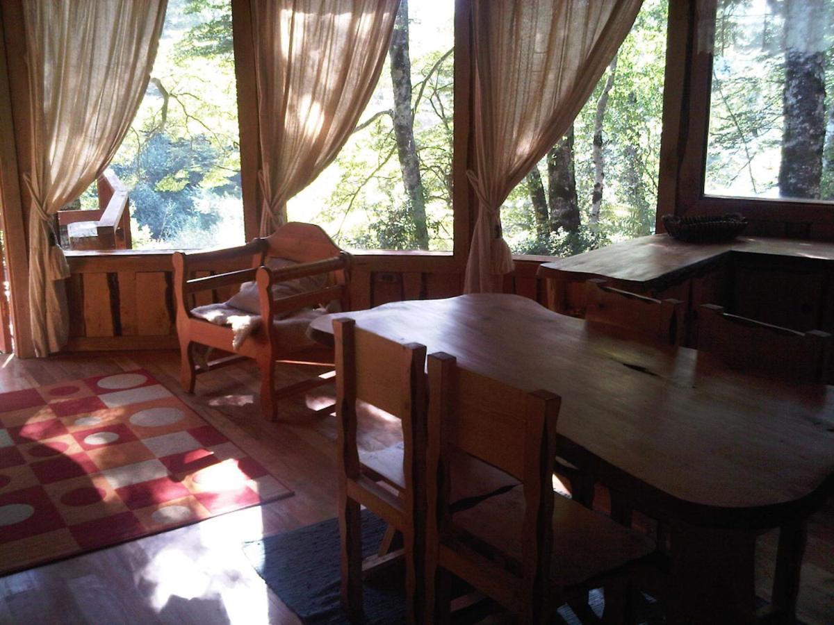 Patagonia Mawida Villa Neltume Kültér fotó