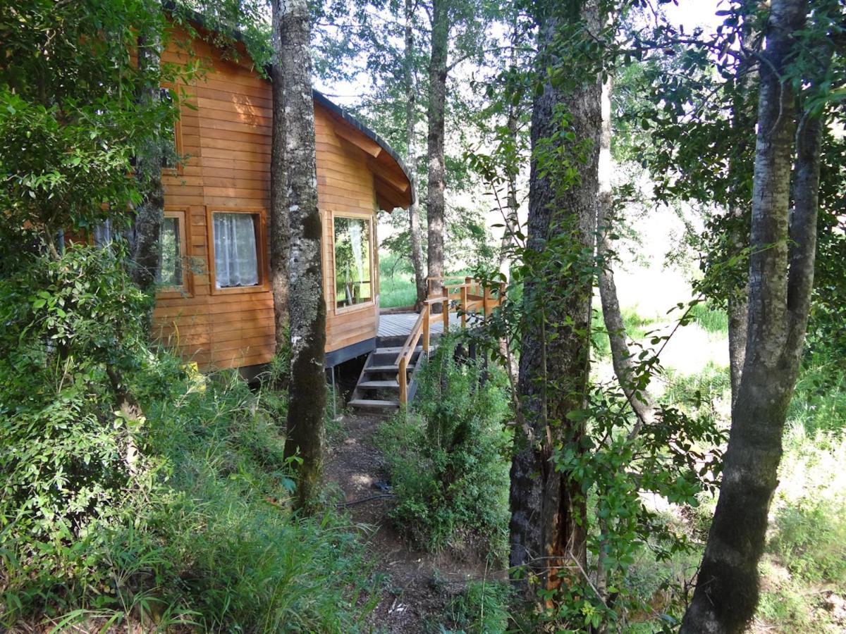 Patagonia Mawida Villa Neltume Kültér fotó