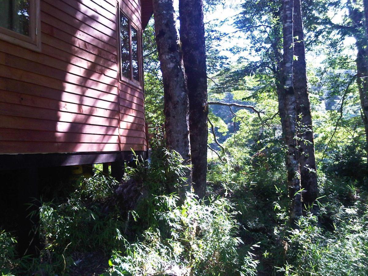 Patagonia Mawida Villa Neltume Kültér fotó