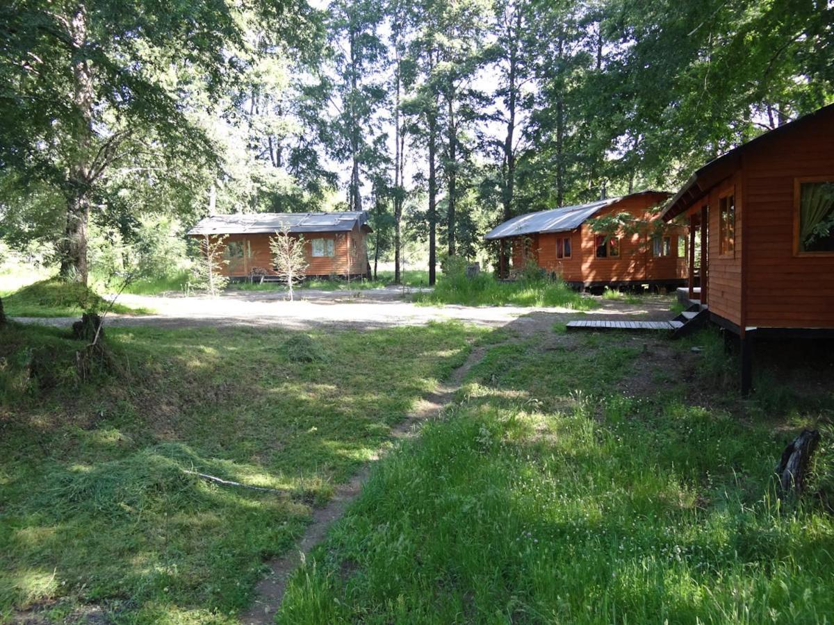 Patagonia Mawida Villa Neltume Kültér fotó